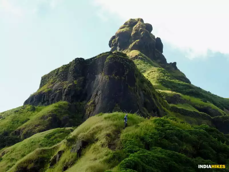 Budhla Machi, Torna Fort trek, treks in Mahrashtra, Sahyadri treks, treks near Pune, Indiahikes